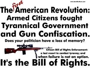 Gun rights activists alone could spawn millions of 2.0 revolutionaries. Photo source: http://goo.gl/1C7UYZ. 